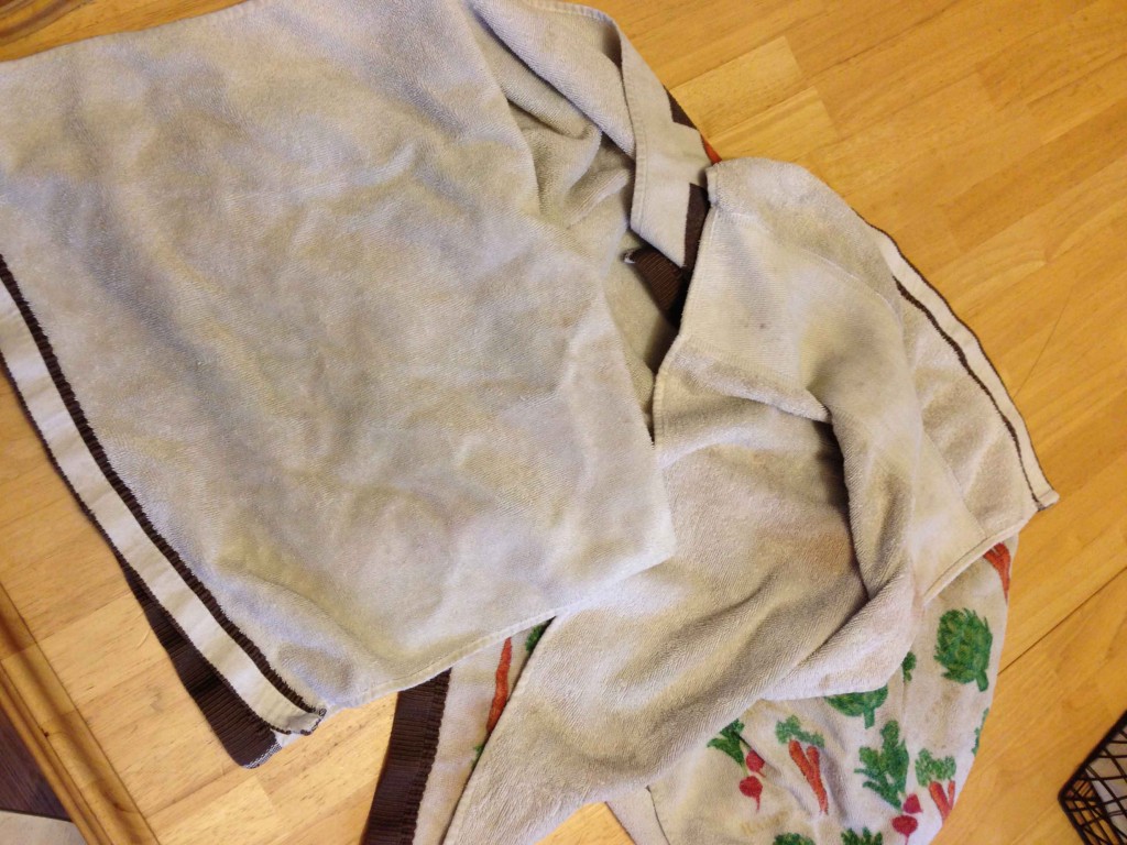 Biz Boil your Kitchen Towels! Pinching Your Pennies