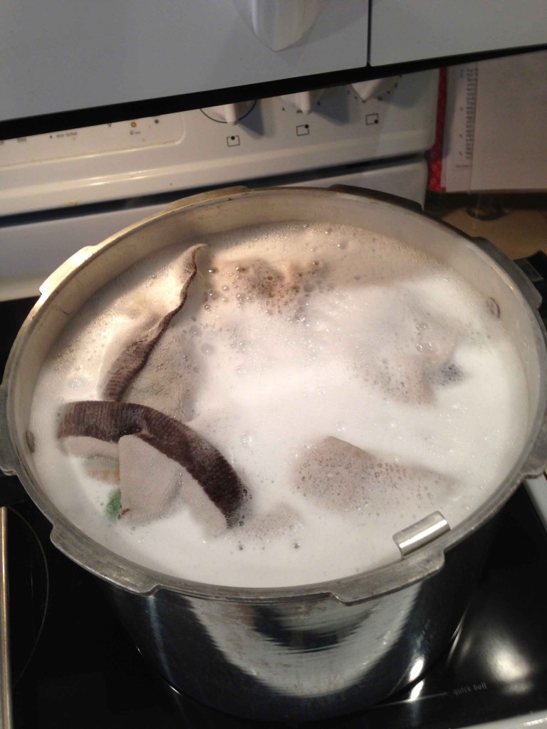 Biz Boil your Kitchen Towels! Pinching Your Pennies