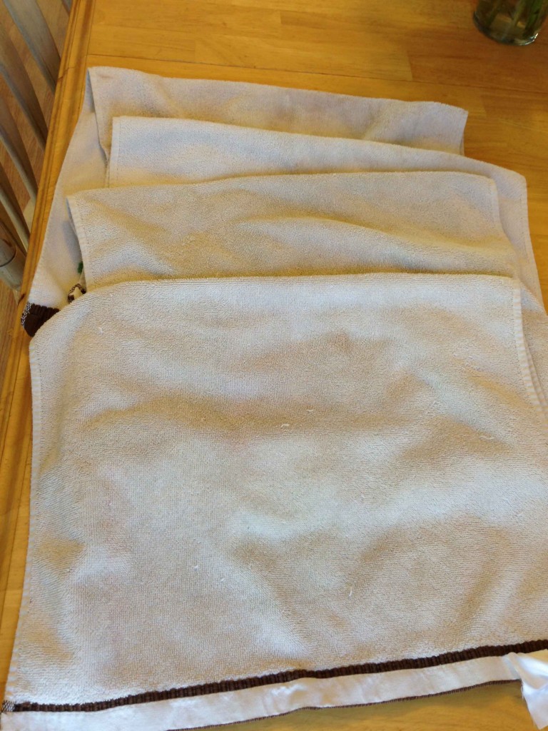 Biz Boil your Kitchen Towels! Pinching Your Pennies