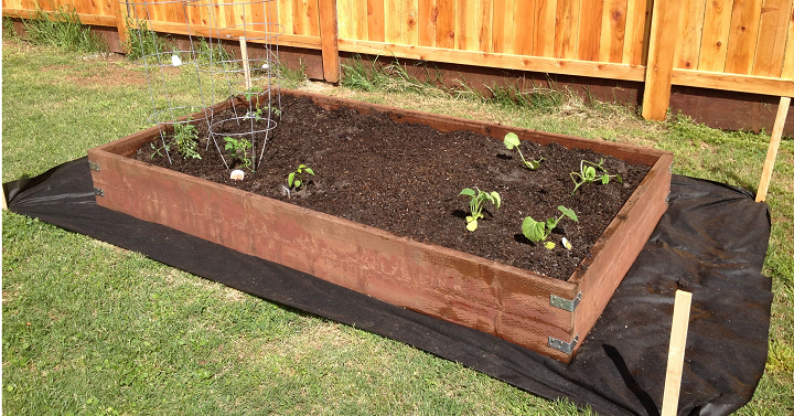 Make Your Own Raised Garden Beds This Spring! - Pinching Your Pennies